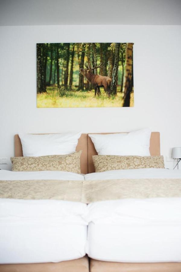 Auerhahn Nest Hotel Bad Wildbad Buitenkant foto